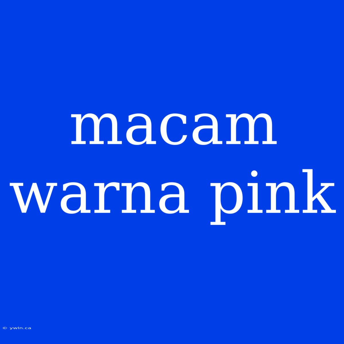 Macam Warna Pink