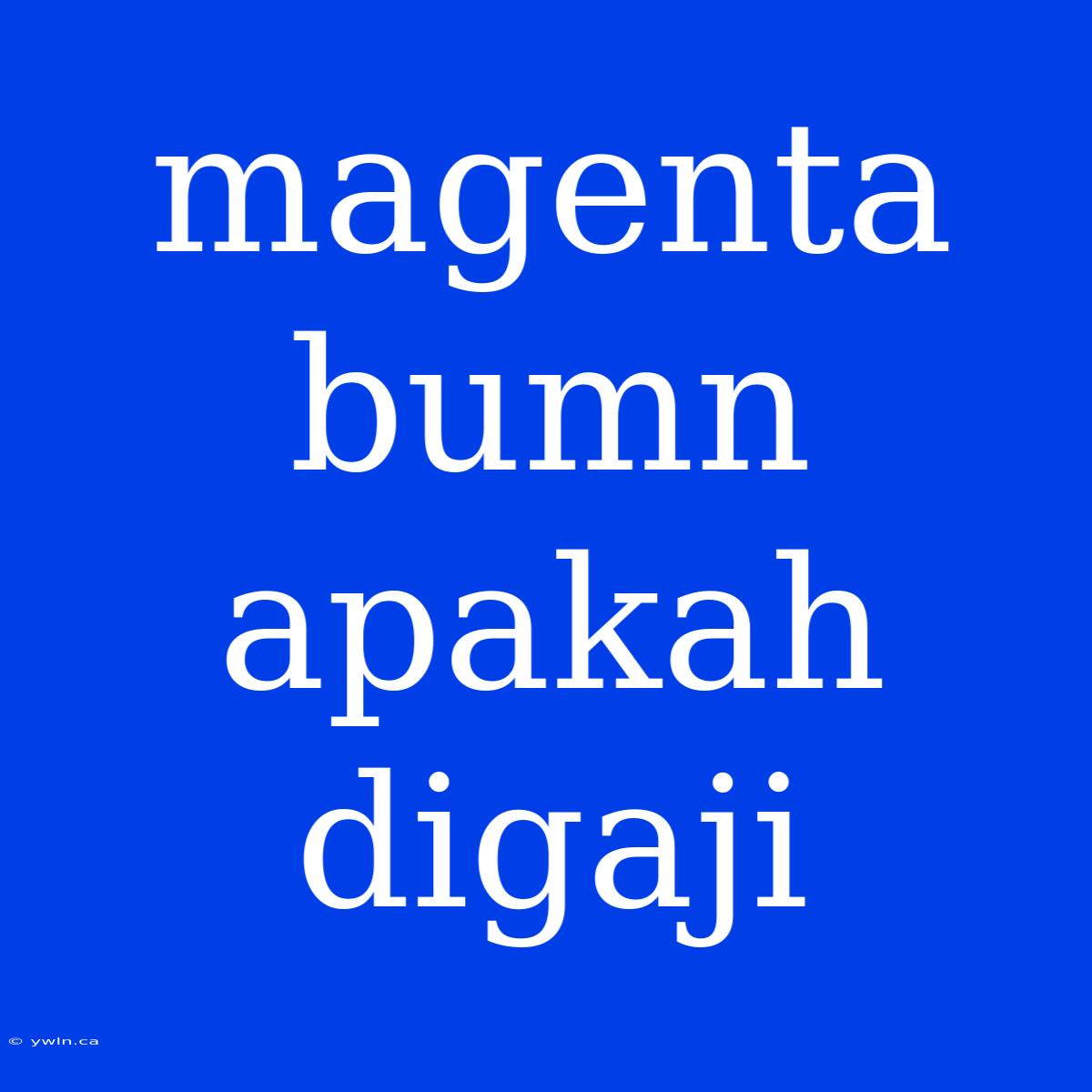 Magenta Bumn Apakah Digaji