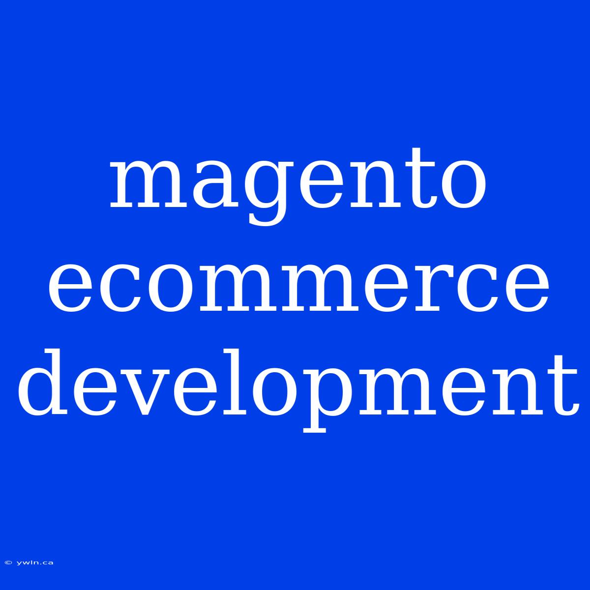 Magento Ecommerce Development