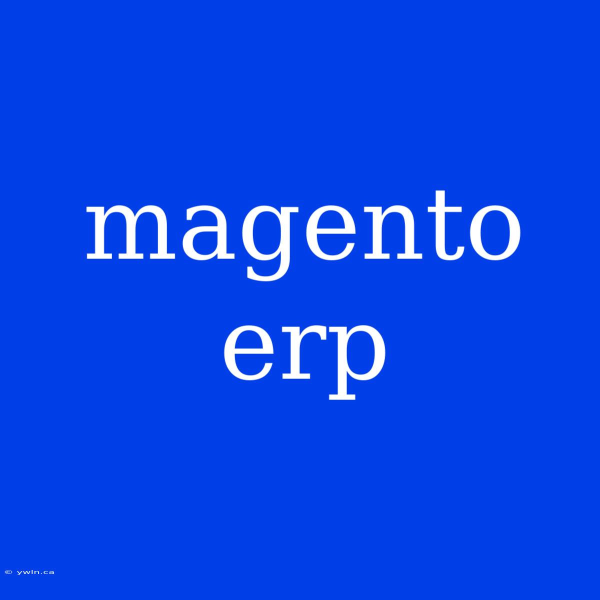 Magento Erp