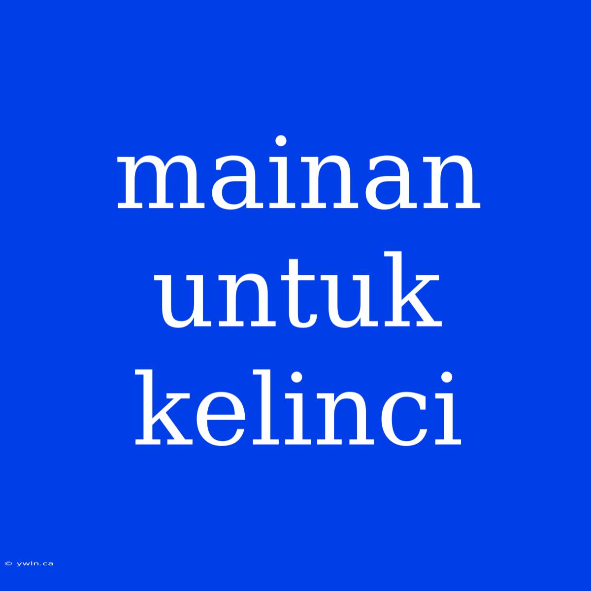 Mainan Untuk Kelinci