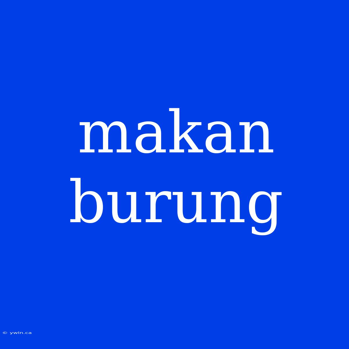 Makan Burung