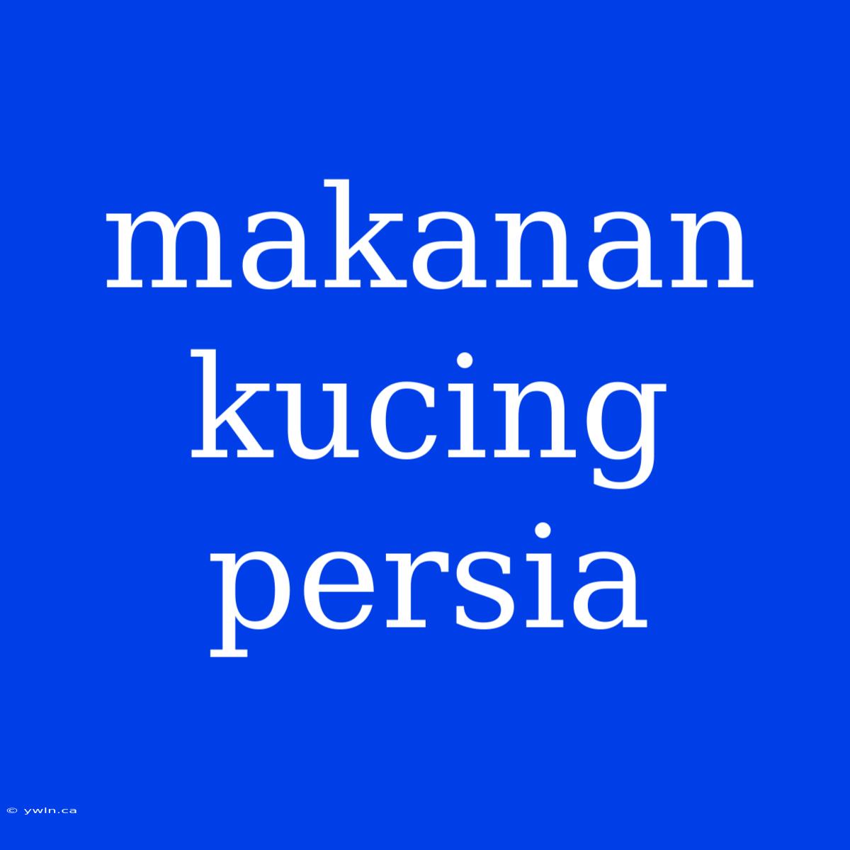 Makanan Kucing Persia