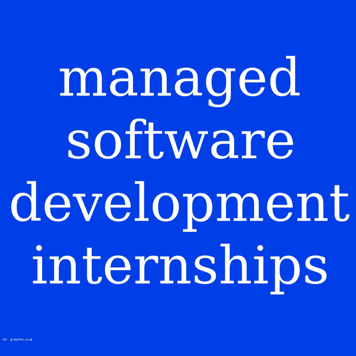 Managed Software Development Internships