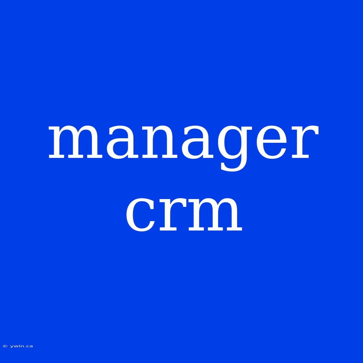 Manager Crm