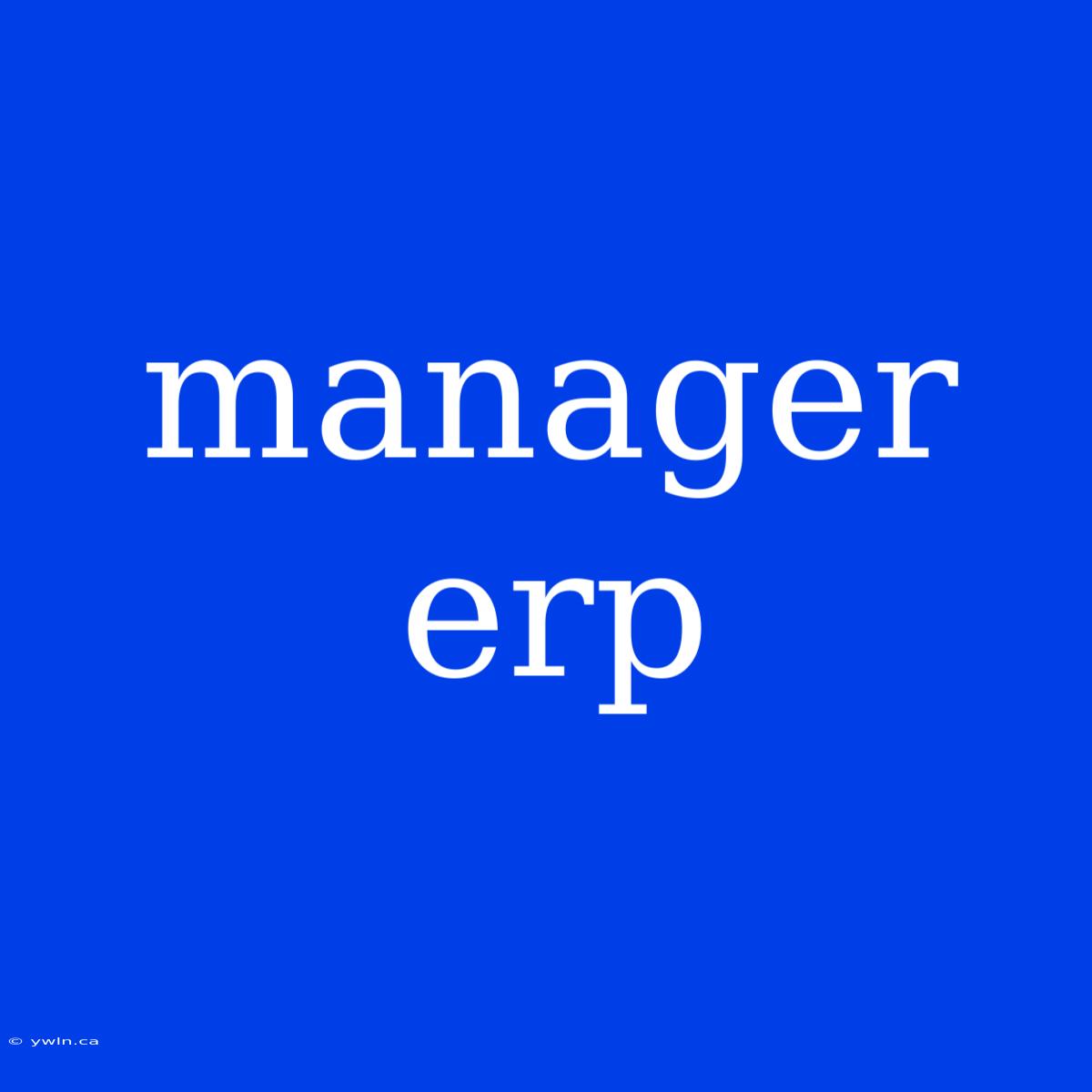 Manager Erp