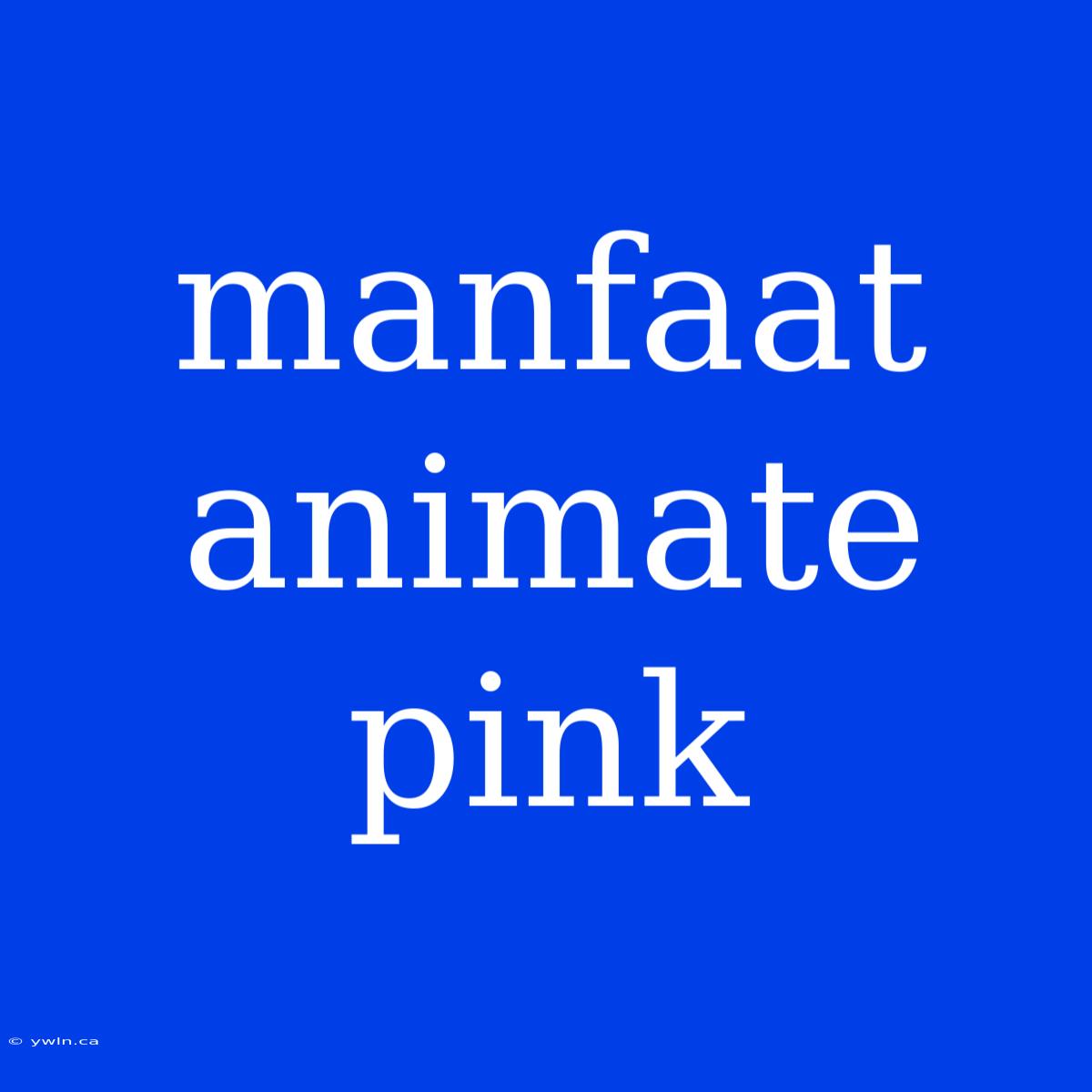 Manfaat Animate Pink