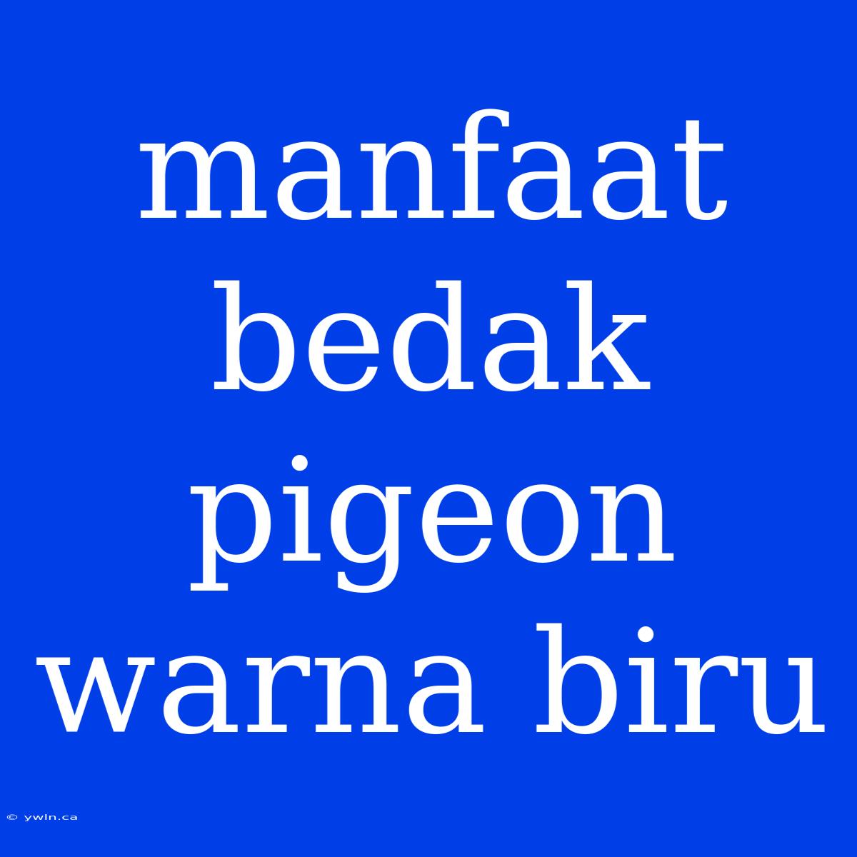 Manfaat Bedak Pigeon Warna Biru