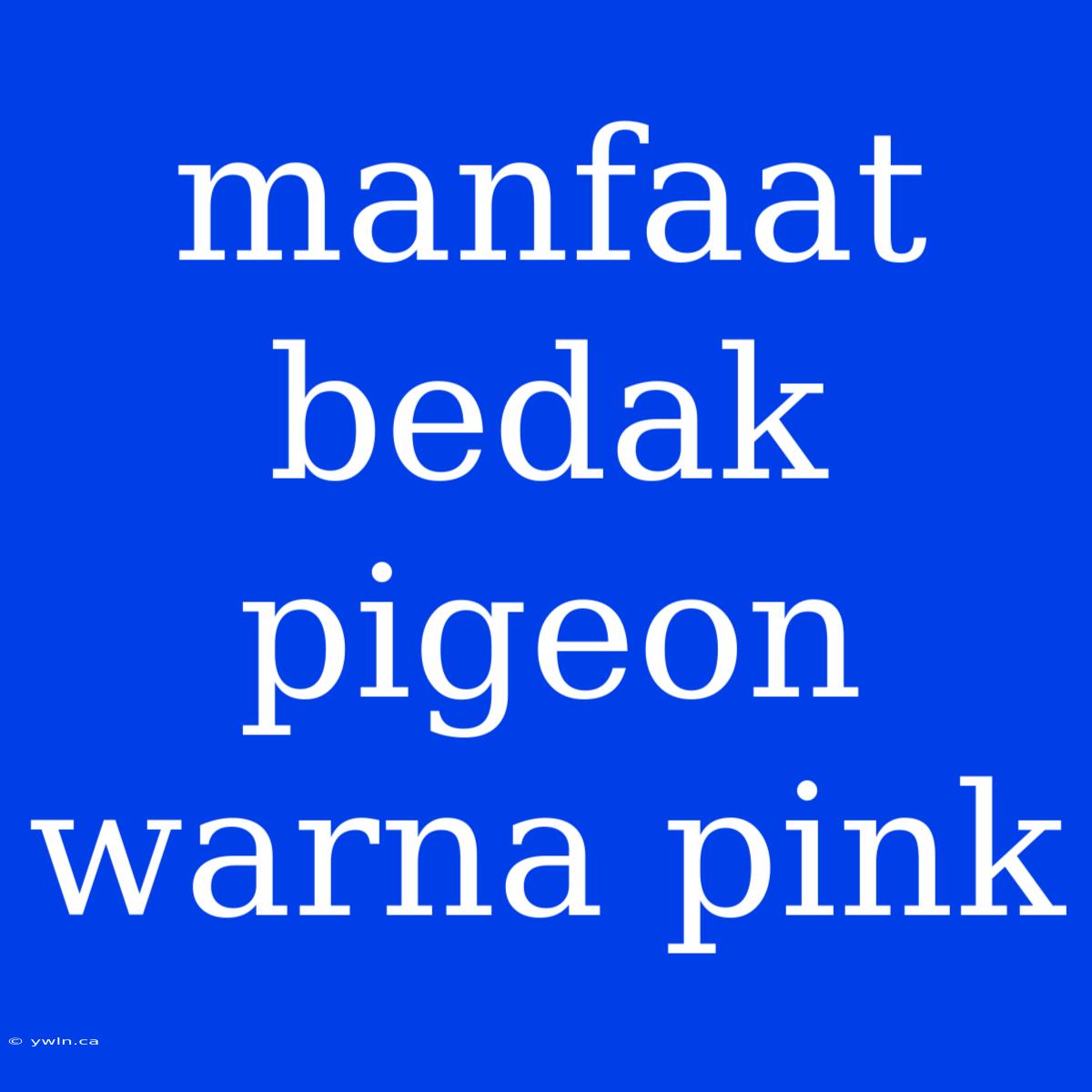 Manfaat Bedak Pigeon Warna Pink