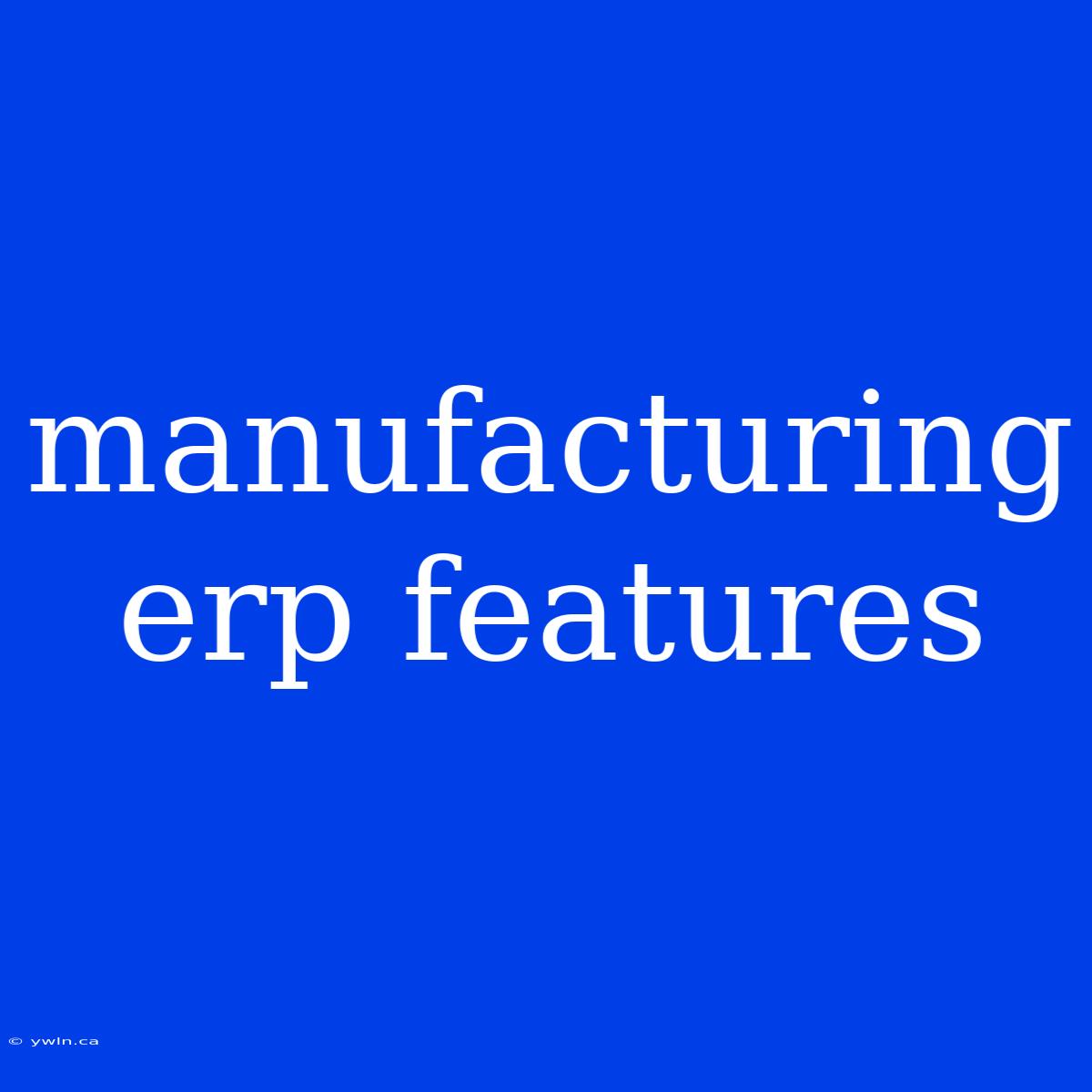 Manufacturing Erp Features