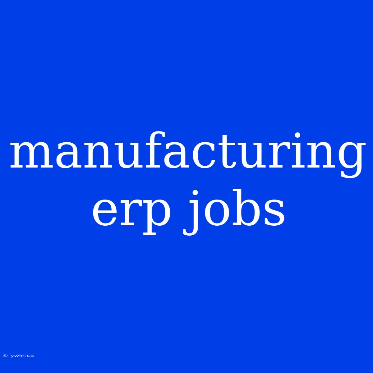 Manufacturing Erp Jobs