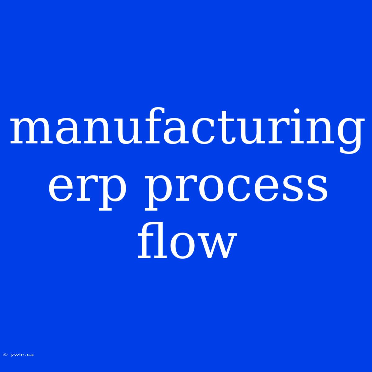 Manufacturing Erp Process Flow