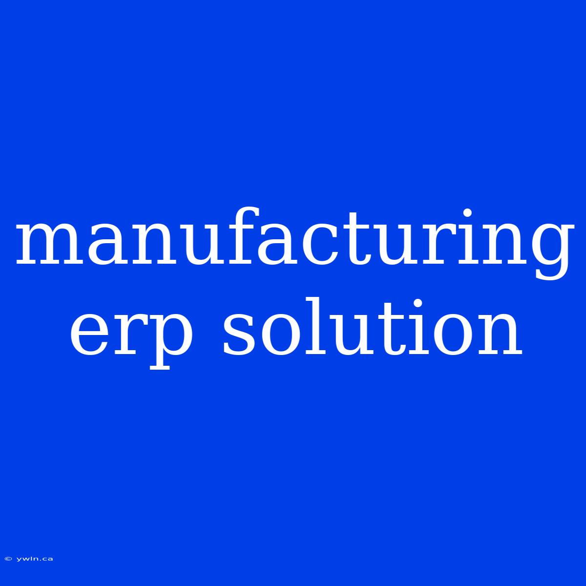 Manufacturing Erp Solution