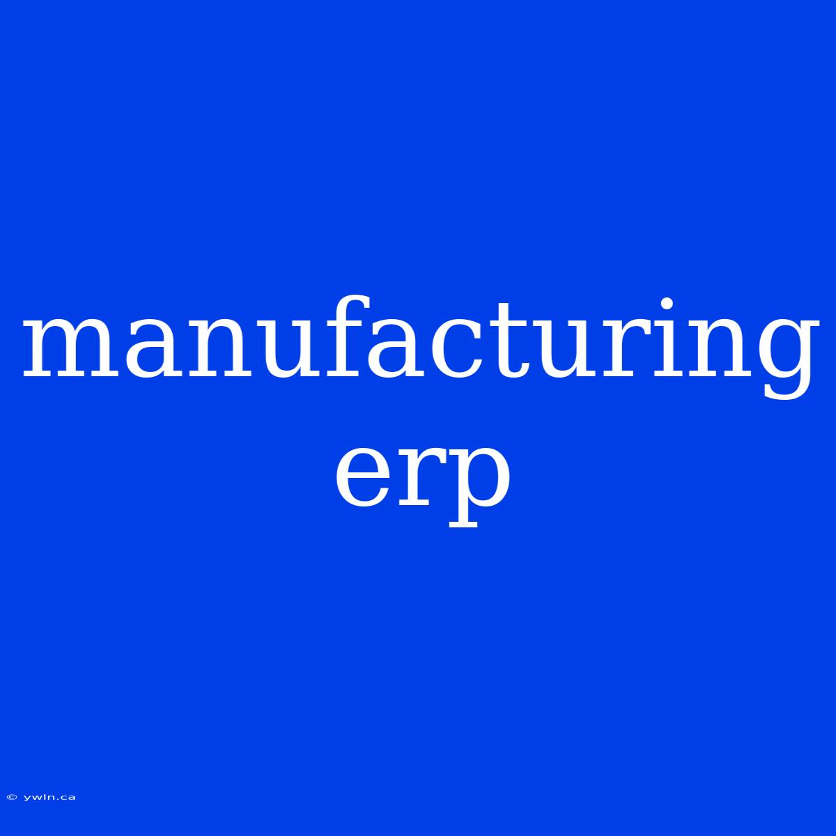 Manufacturing Erp