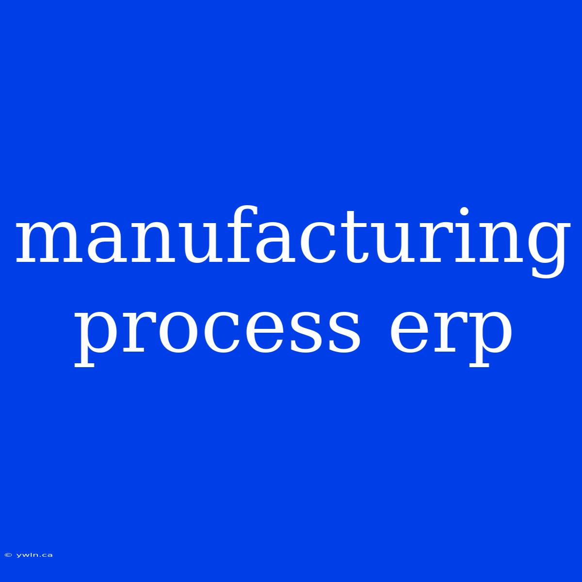 Manufacturing Process Erp