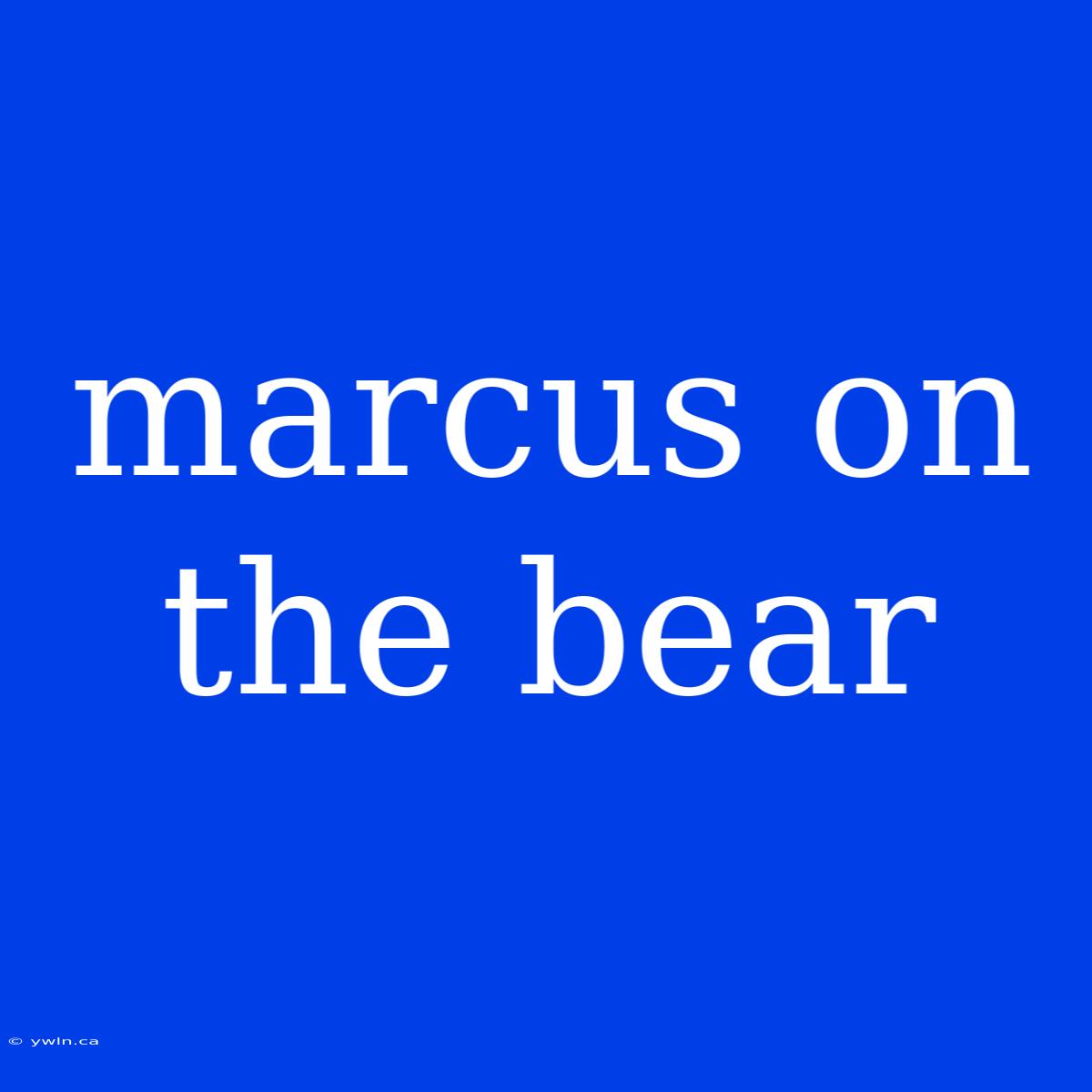 Marcus On The Bear