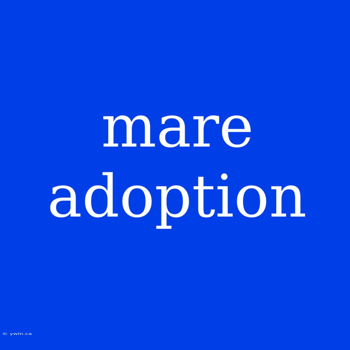 Mare Adoption