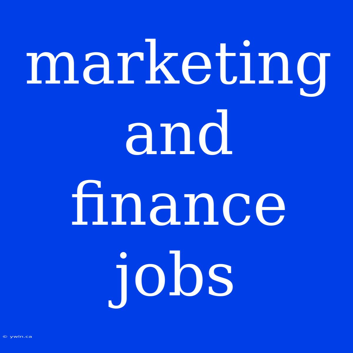 Marketing And Finance Jobs