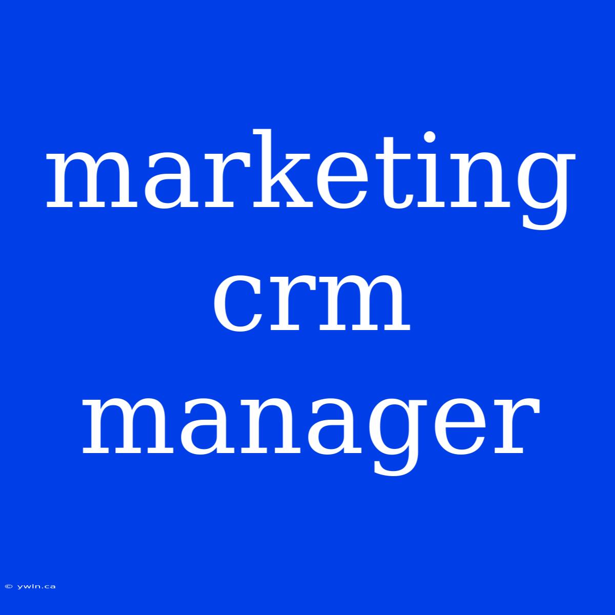 Marketing Crm Manager