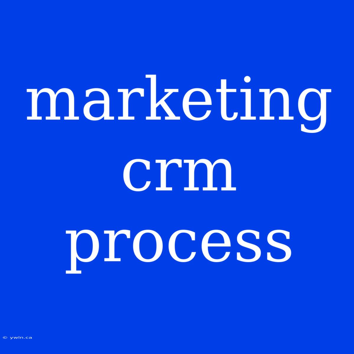 Marketing Crm Process