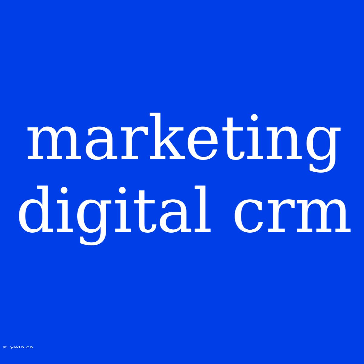 Marketing Digital Crm