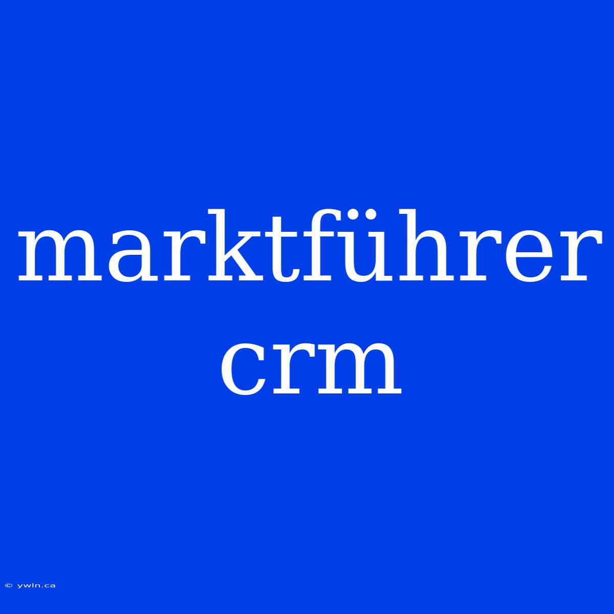 Marktführer Crm