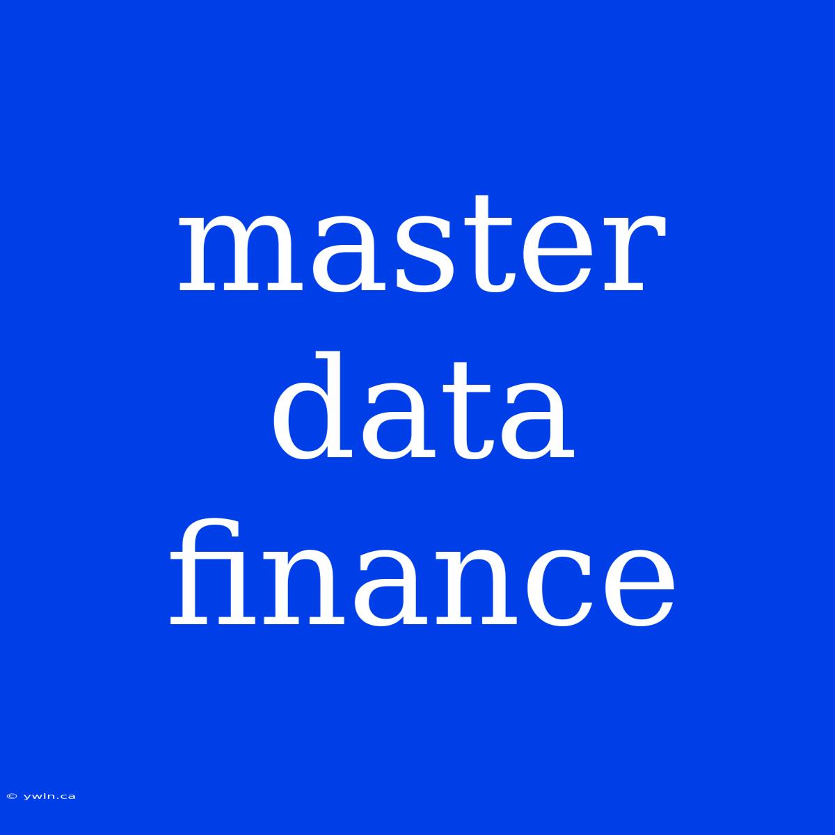 Master Data Finance