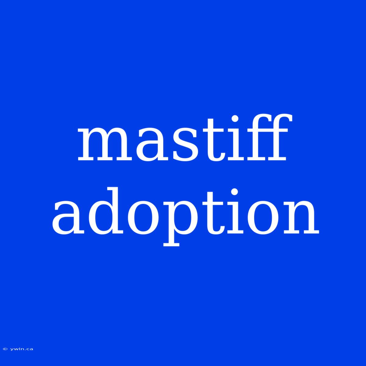 Mastiff Adoption