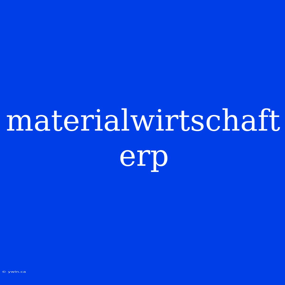 Materialwirtschaft Erp