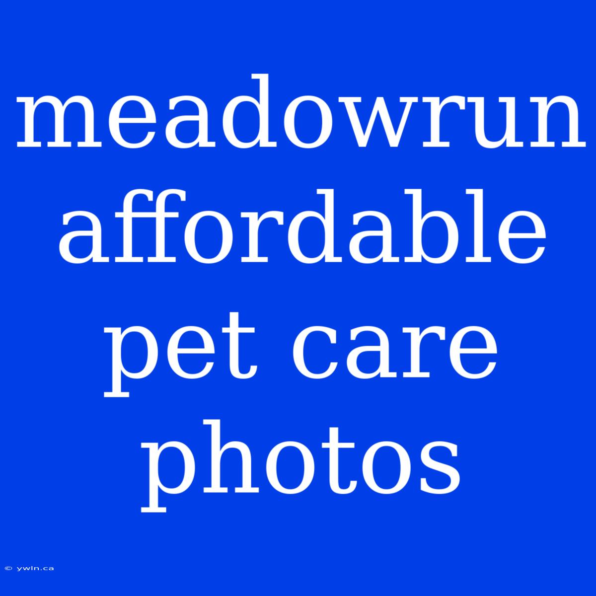 Meadowrun Affordable Pet Care Photos