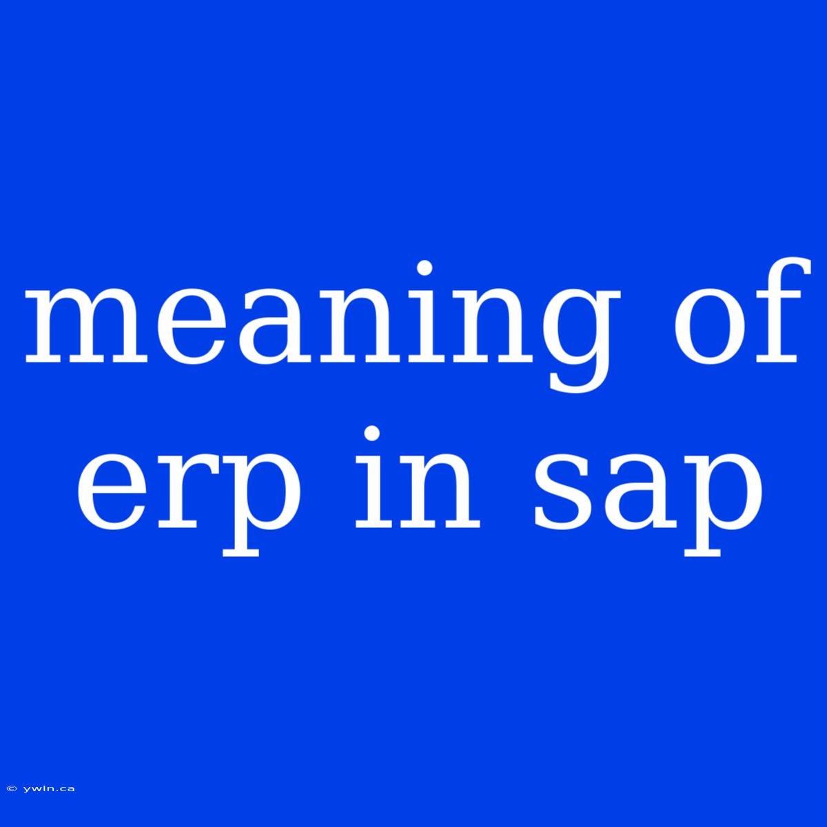 Meaning Of Erp In Sap