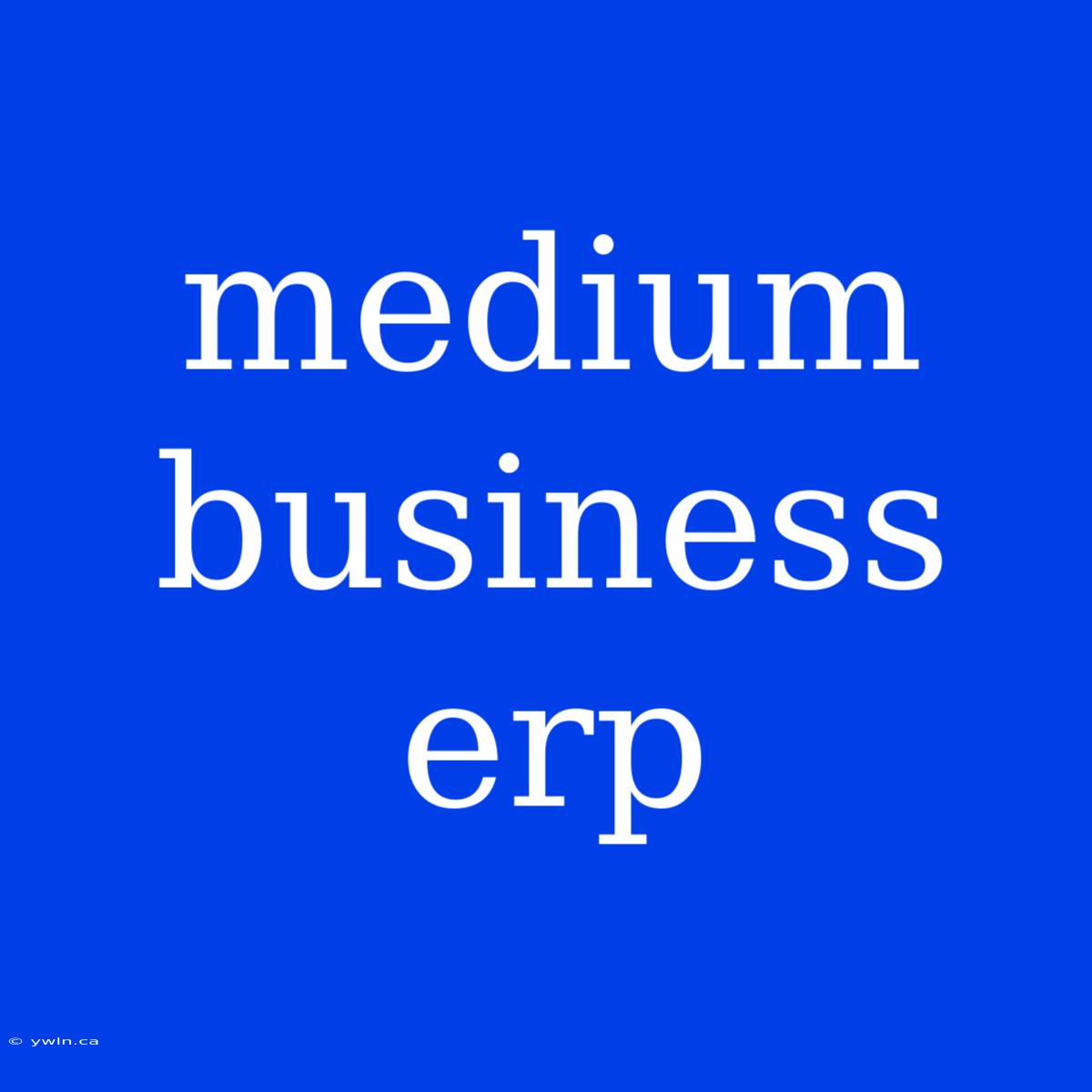 Medium Business Erp