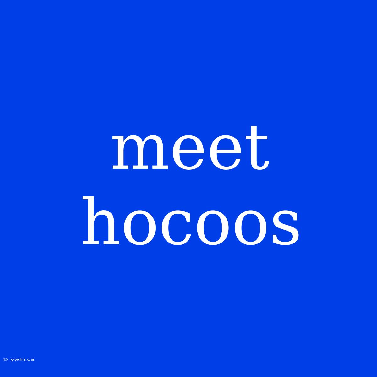 Meet Hocoos