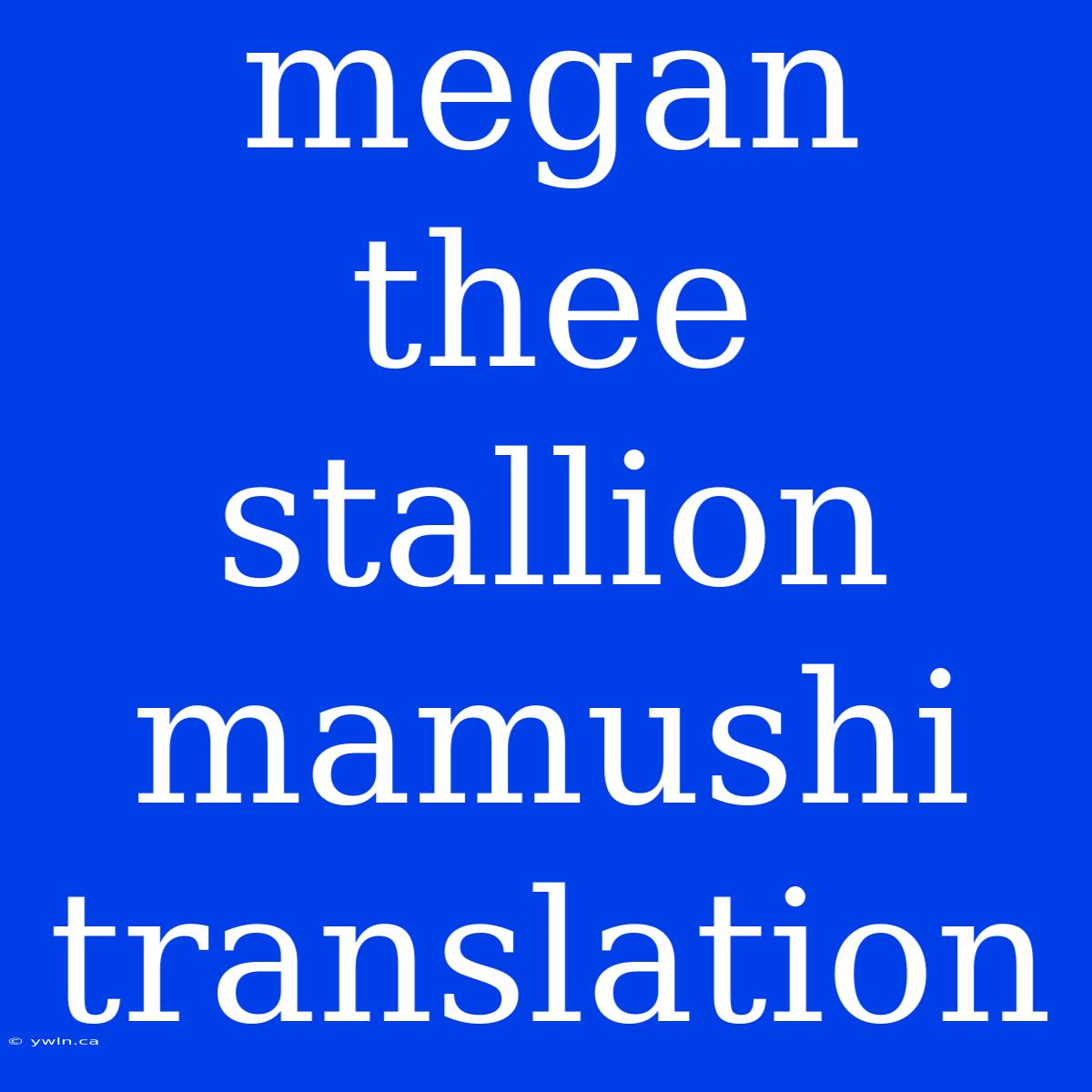 Megan Thee Stallion Mamushi Translation