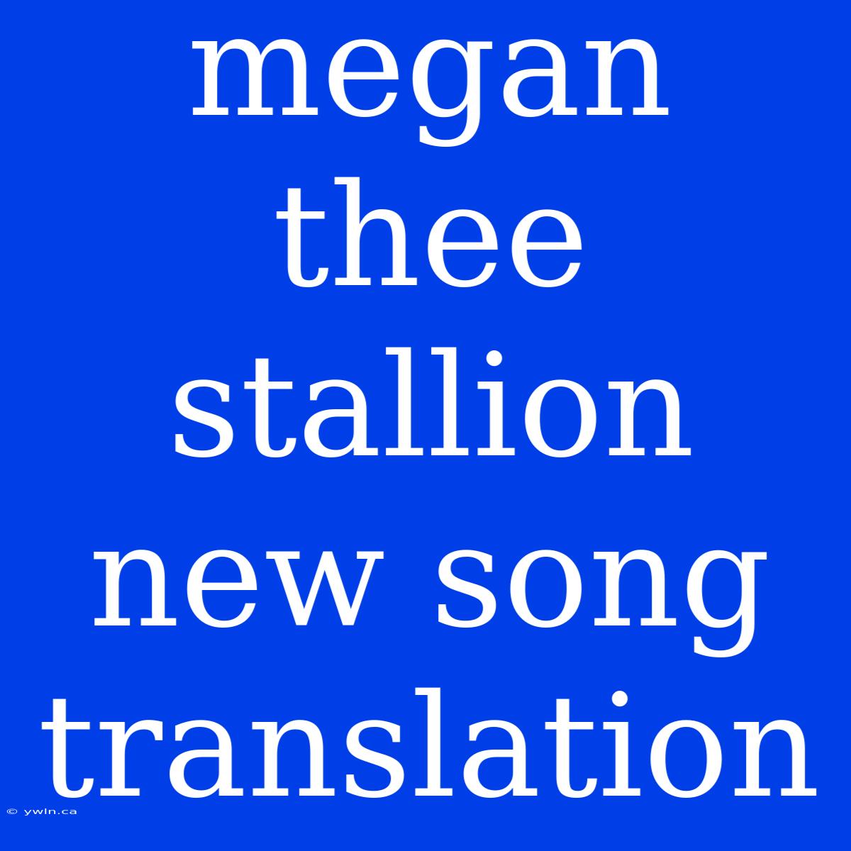 Megan Thee Stallion New Song Translation