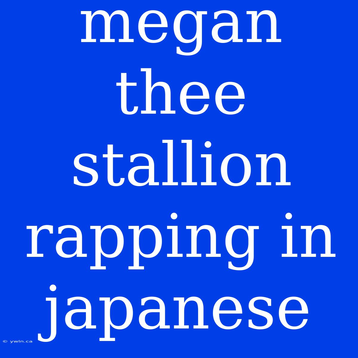 Megan Thee Stallion Rapping In Japanese