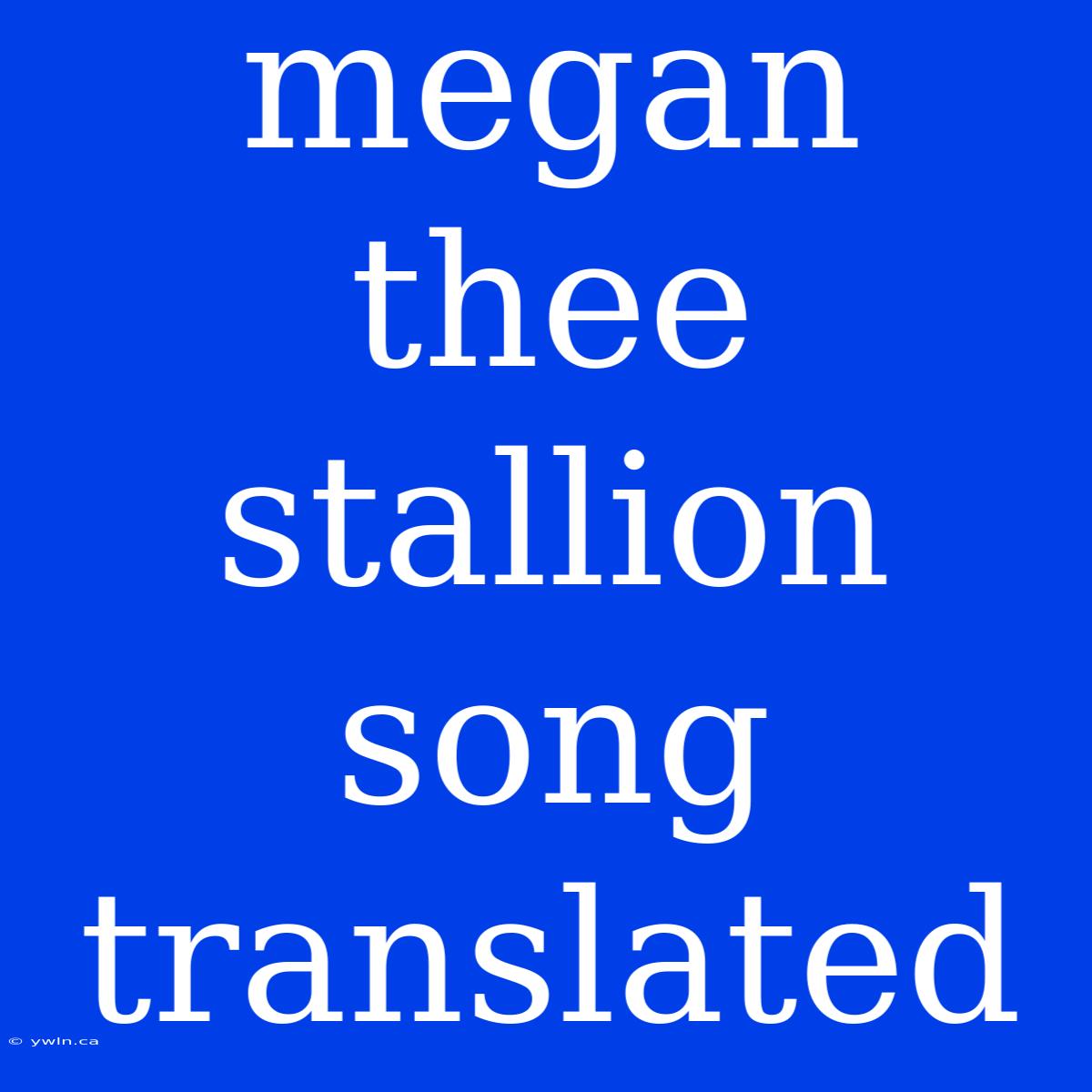 Megan Thee Stallion Song Translated