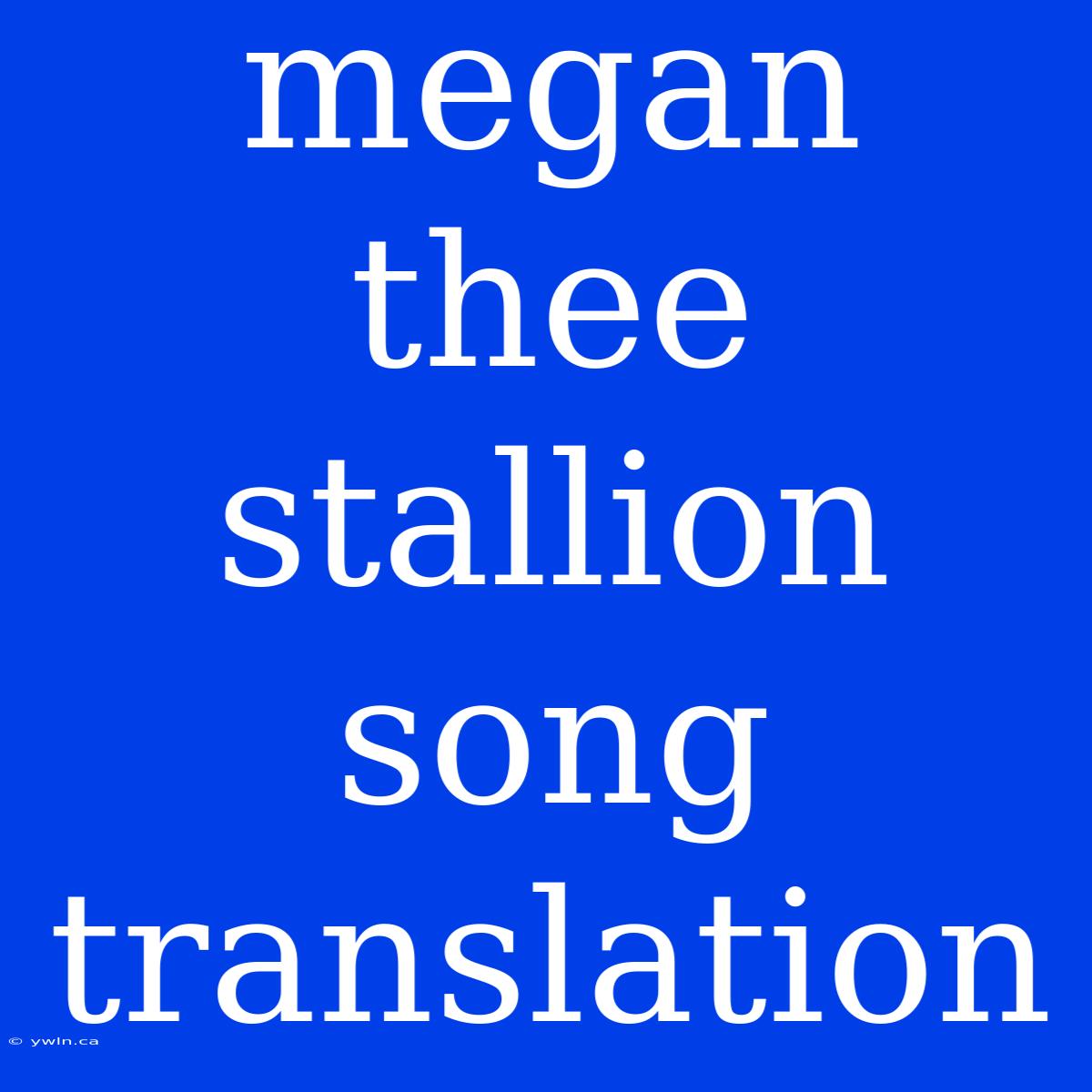 Megan Thee Stallion Song Translation