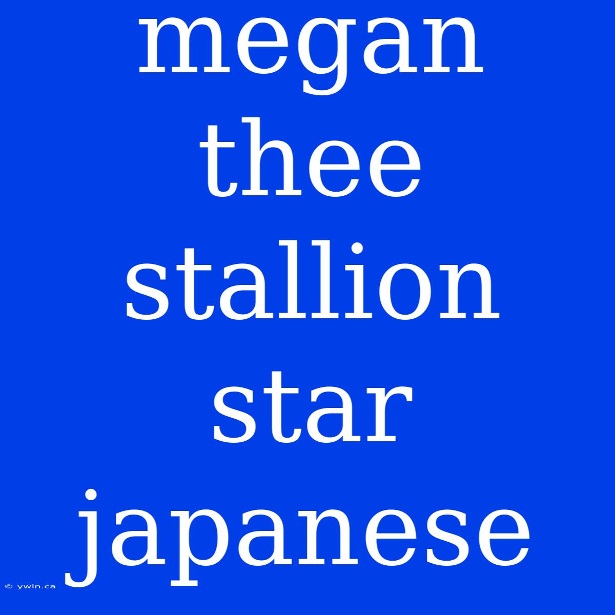 Megan Thee Stallion Star Japanese