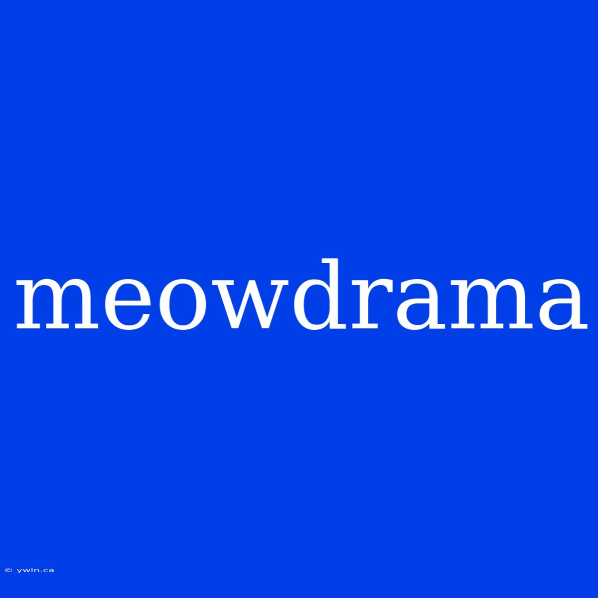 Meowdrama