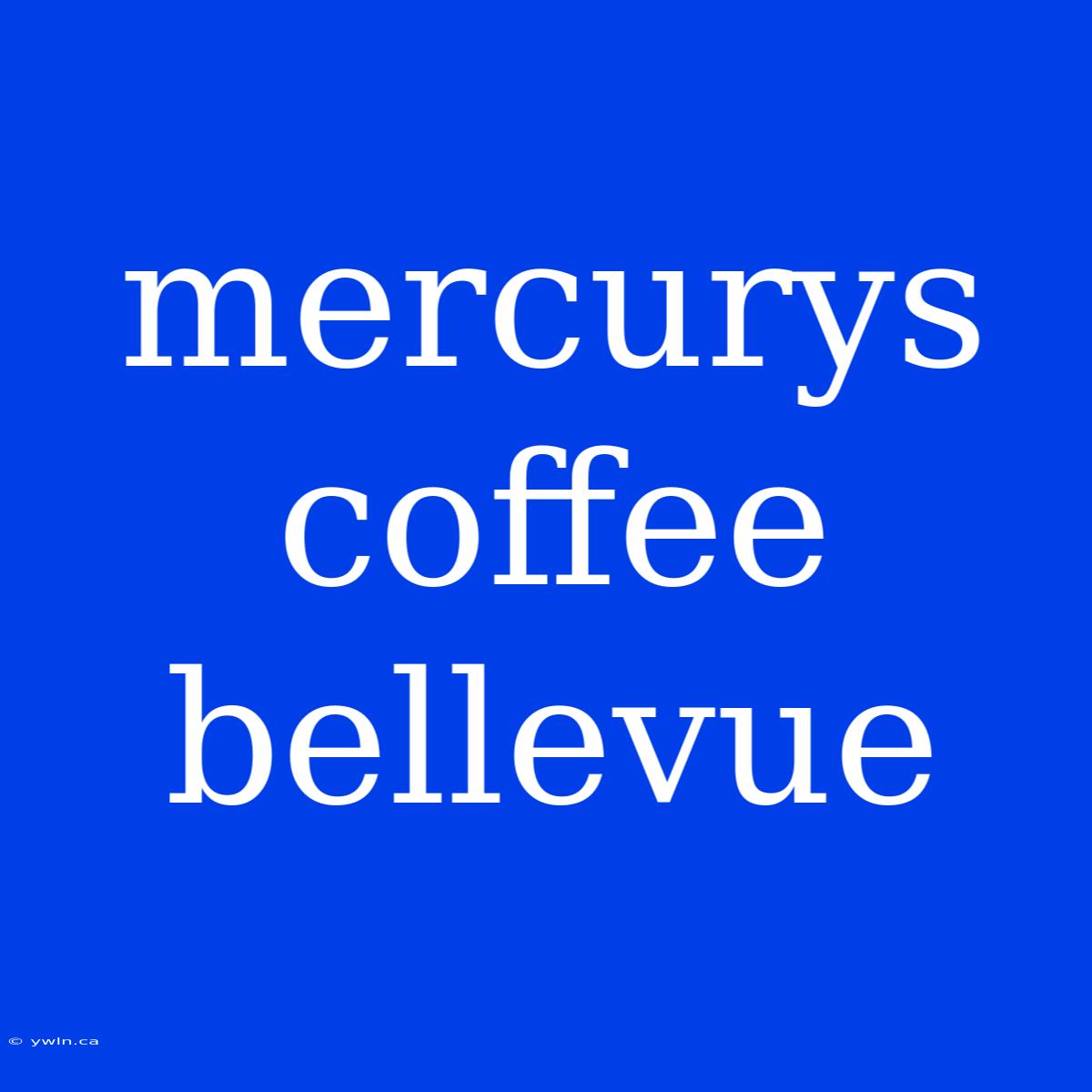 Mercurys Coffee Bellevue