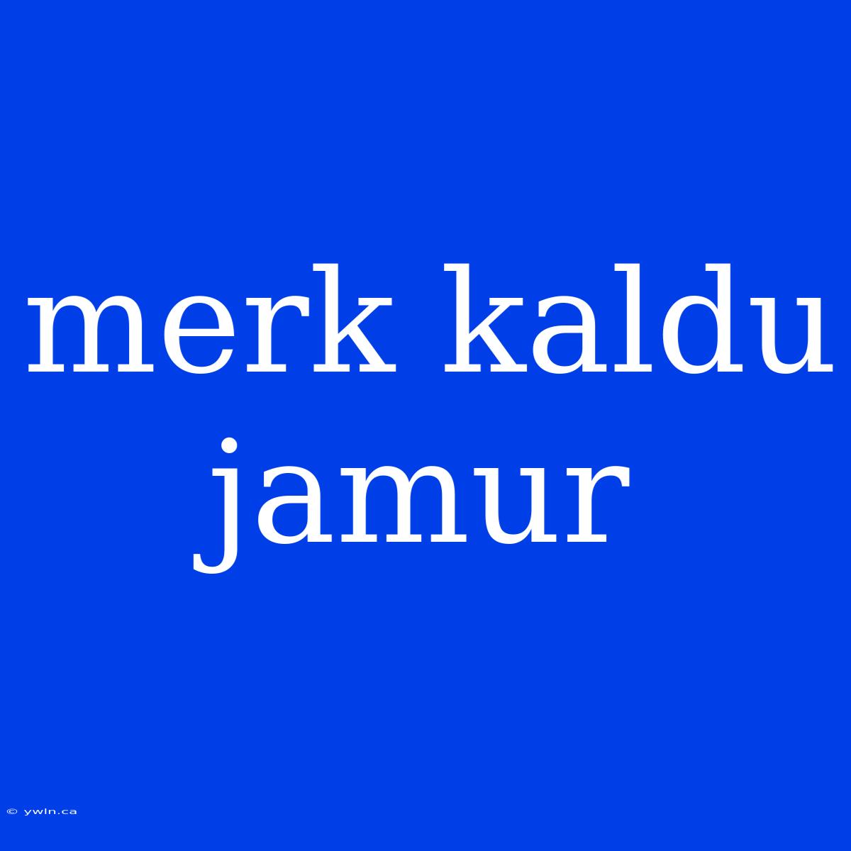 Merk Kaldu Jamur