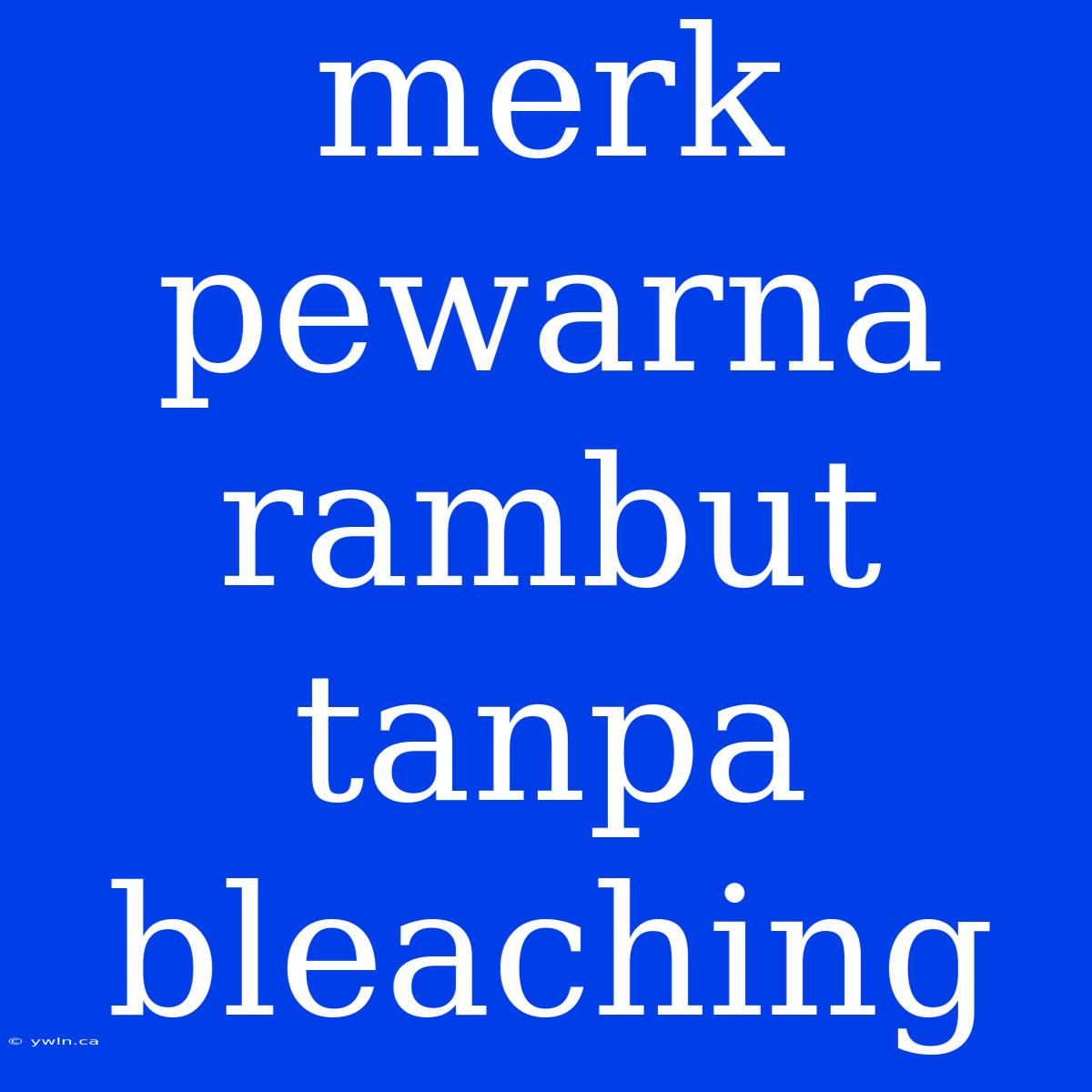 Merk Pewarna Rambut Tanpa Bleaching