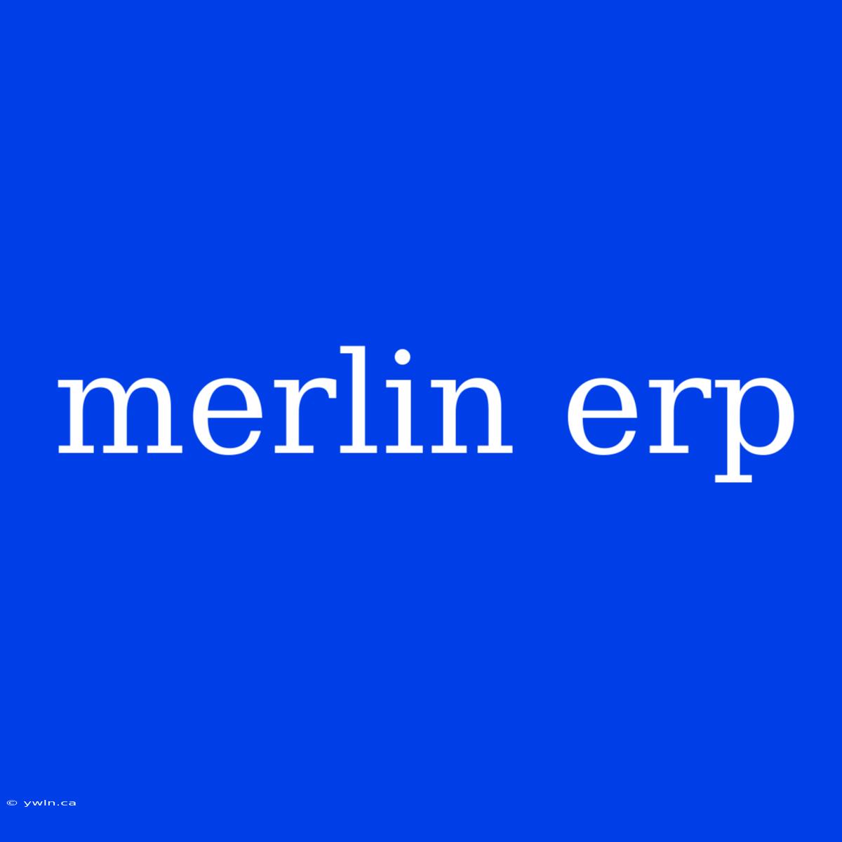 Merlin Erp