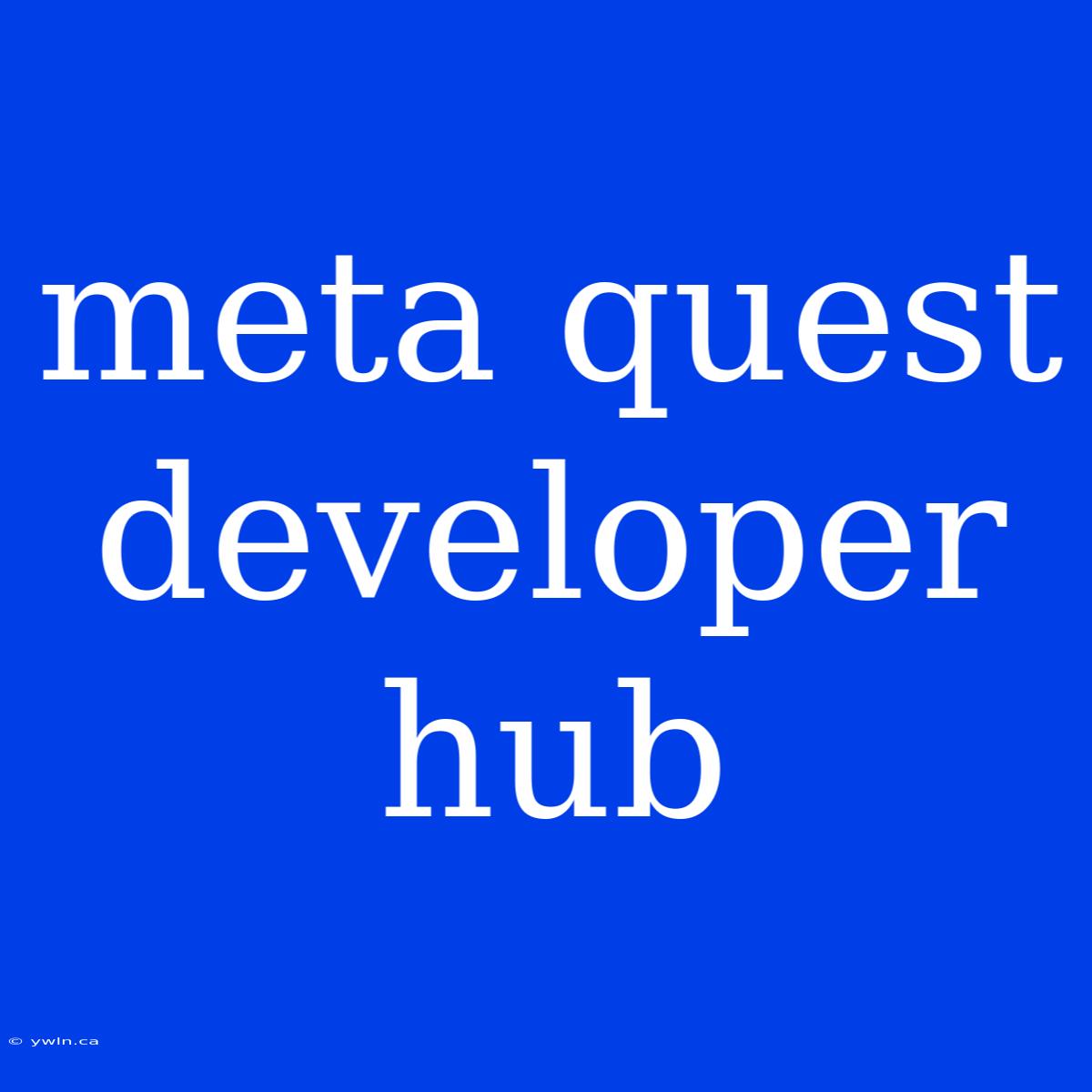 Meta Quest Developer Hub