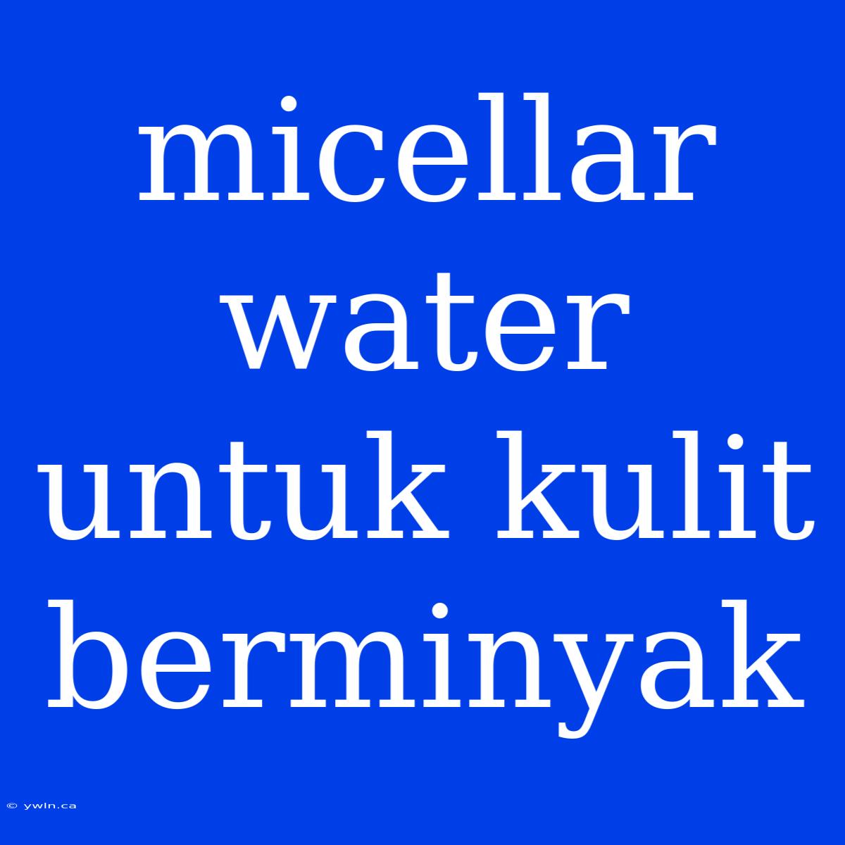 Micellar Water Untuk Kulit Berminyak