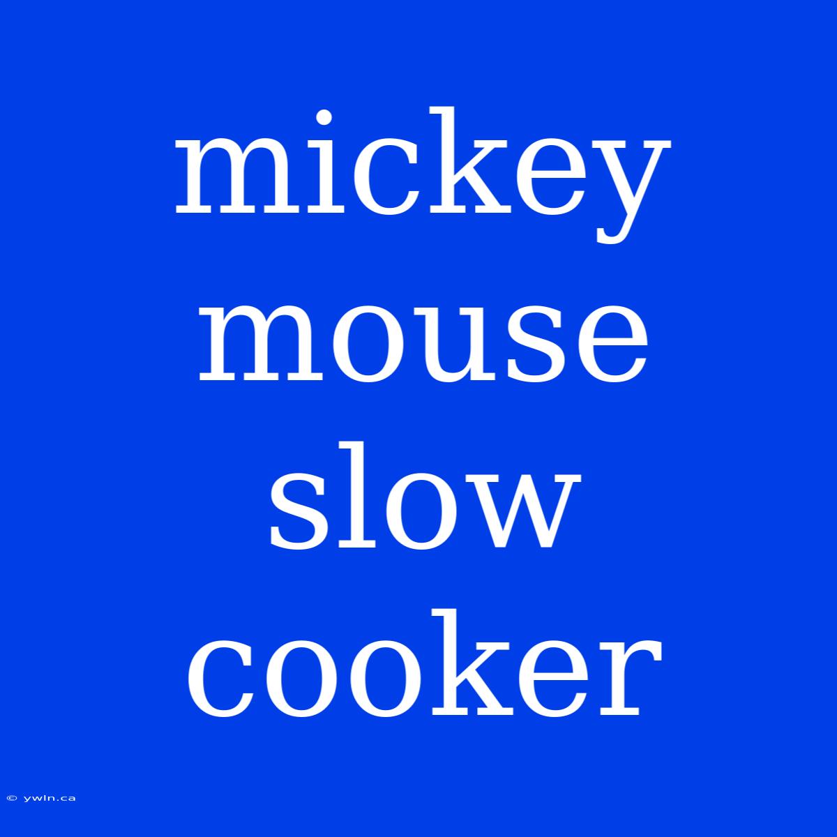 Mickey Mouse Slow Cooker