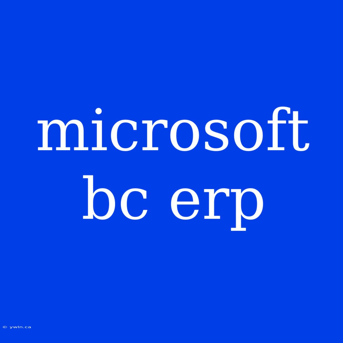 Microsoft Bc Erp