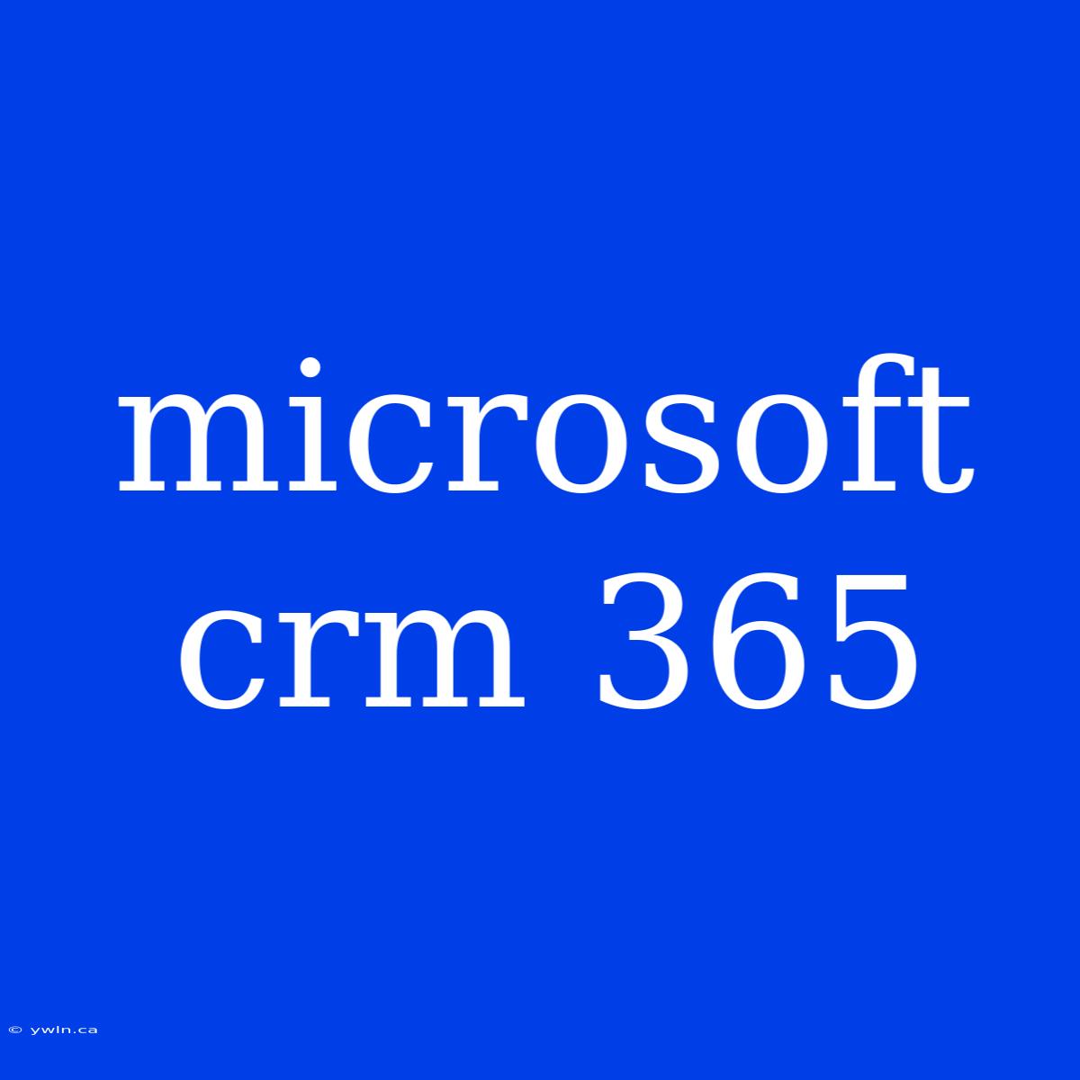 Microsoft Crm 365