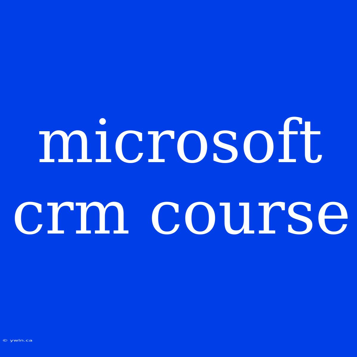 Microsoft Crm Course